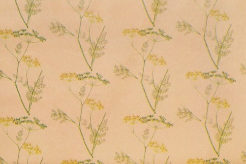 Wrapping paper cow parsley - paper,